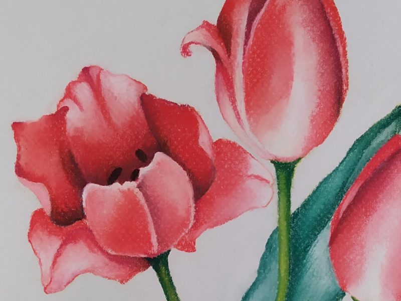Tulipani - Pastelli su carta