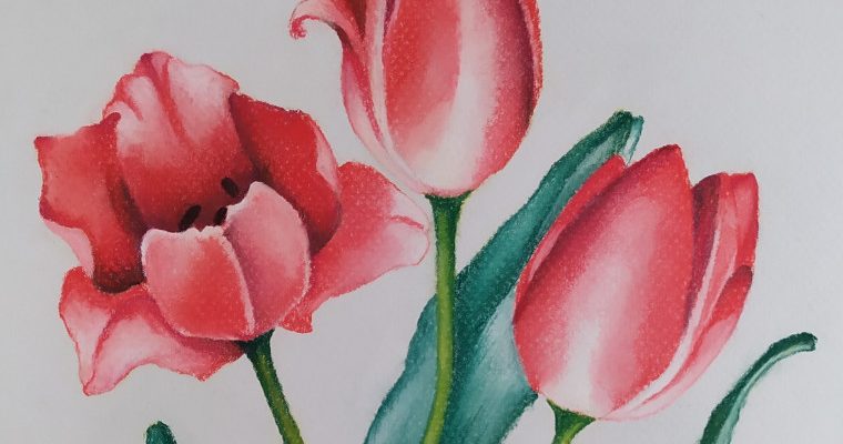 Tulipani Pastelli - Pastelli su carta