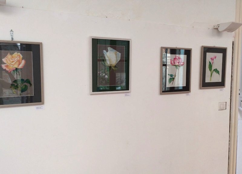 fiori esposizioni galleria porta ferrata