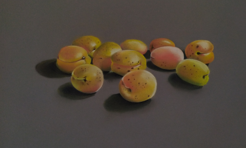 Pastelli su Carta Pastelmat Clairefontain